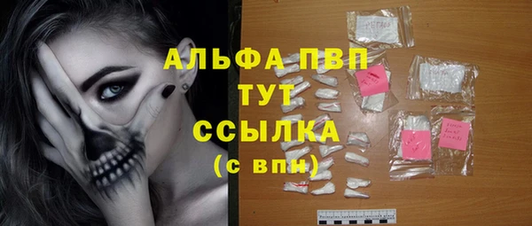 ПСИЛОЦИБИНОВЫЕ ГРИБЫ Аркадак