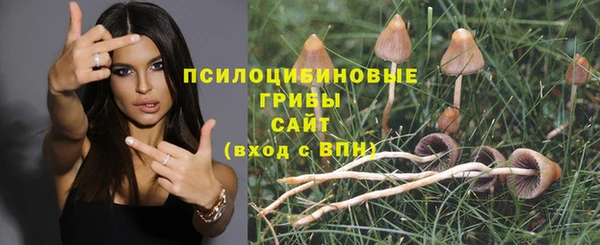 2c-b Арсеньев
