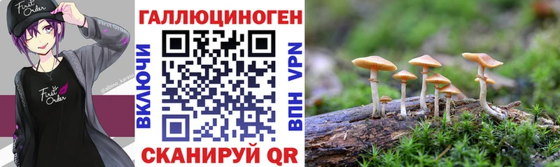 Псилоцибиновые грибы Magic Shrooms  mega как зайти  Белово 